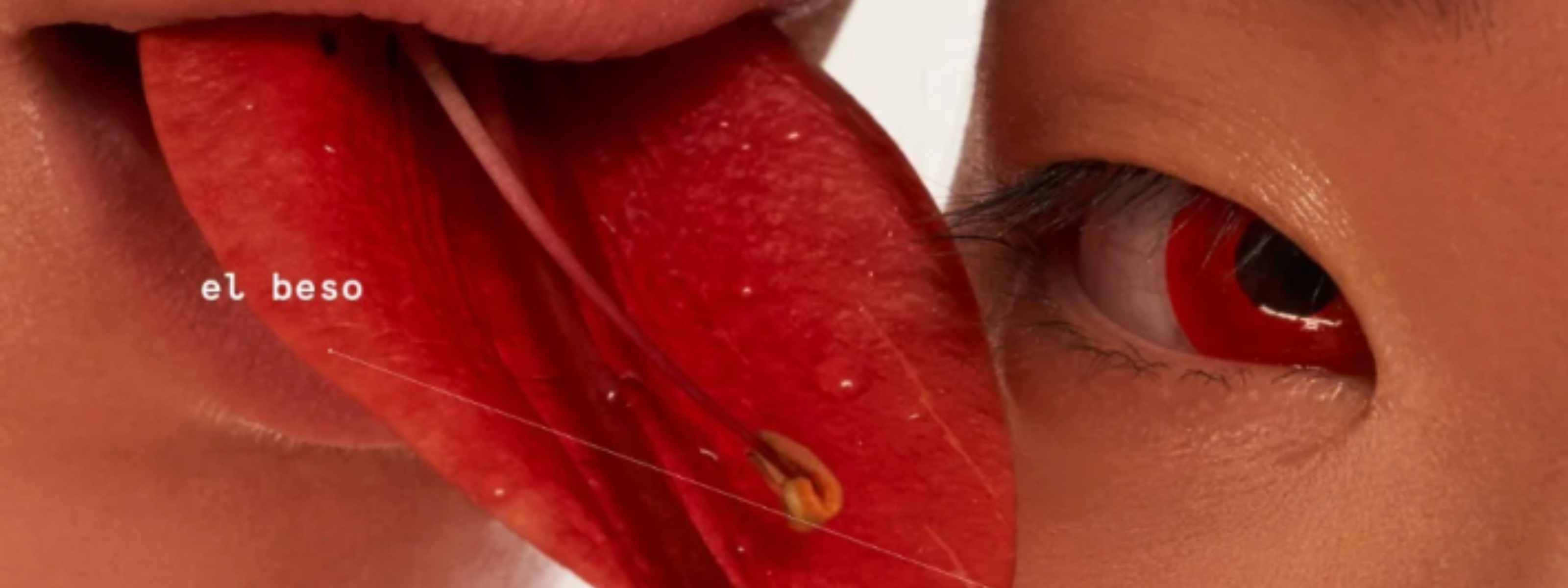 PANORAMA: EXPO FOTOGRÁFICA "CONTACTO" X MAIRO ARDE