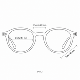Anteojos Ópticos Retrovisión Colección VIII Ovali