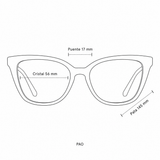 Anteojos Ópticos Retrovisión Colección VIII Pao C1