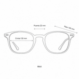 Anteojos Ópticos Retrovisión Colección VIII Rai C1