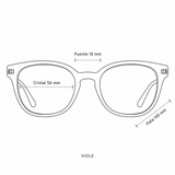 Anteojos Ópticos Retrovisión Colección VIII Viole C1